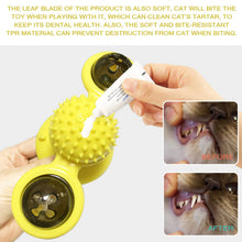 將圖片載入圖庫檢視器 Cat Chewing Interactive Toy with Suction Cup Hair Massager