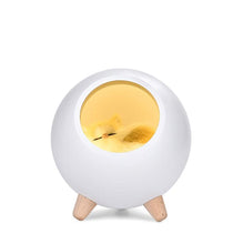 將圖片載入圖庫檢視器 LED Night Table Light USB Rechargeable Small Pet House Atmosphere Lamp