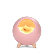 將圖片載入圖庫檢視器 LED Night Table Light USB Rechargeable Small Pet House Atmosphere Lamp