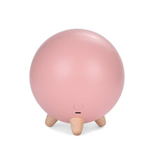 將圖片載入圖庫檢視器 LED Night Table Light USB Rechargeable Small Pet House Atmosphere Lamp
