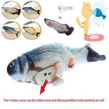 將圖片載入圖庫檢視器 USB Charging 3D Fish Shape Toy For Pet

