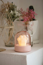 將圖片載入圖庫檢視器 LED Night Light USB Charge Ambient Light Cartoon Cute Cat Claw Shape Night Lamp
