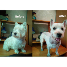 將圖片載入圖庫檢視器 Dog Hair Trimmer
