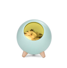 將圖片載入圖庫檢視器 LED Night Table Light USB Rechargeable Small Pet House Atmosphere Lamp
