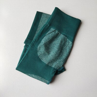 Seamless Leggings Sports Tights Women Fitness High Waist