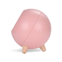 將圖片載入圖庫檢視器 LED Night Table Light USB Rechargeable Small Pet House Atmosphere Lamp
