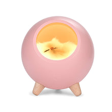 將圖片載入圖庫檢視器 LED Night Table Light USB Rechargeable Small Pet House Atmosphere Lamp
