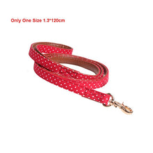 將圖片載入圖庫檢視器 Cute Bow Cat Collar Pet Teacup Chihuahua Collar Leash Lead
