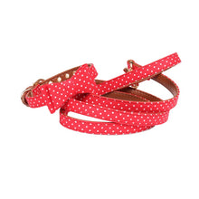 將圖片載入圖庫檢視器 Cute Bow Cat Collar Pet Teacup Chihuahua Collar Leash Lead
